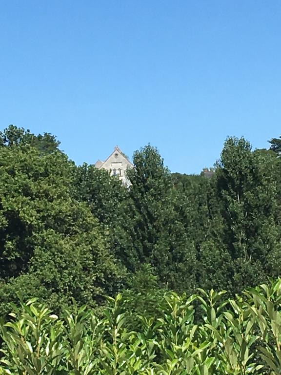 Les Terrasses De Chaumont 1 Leilighet Montsoreau Eksteriør bilde
