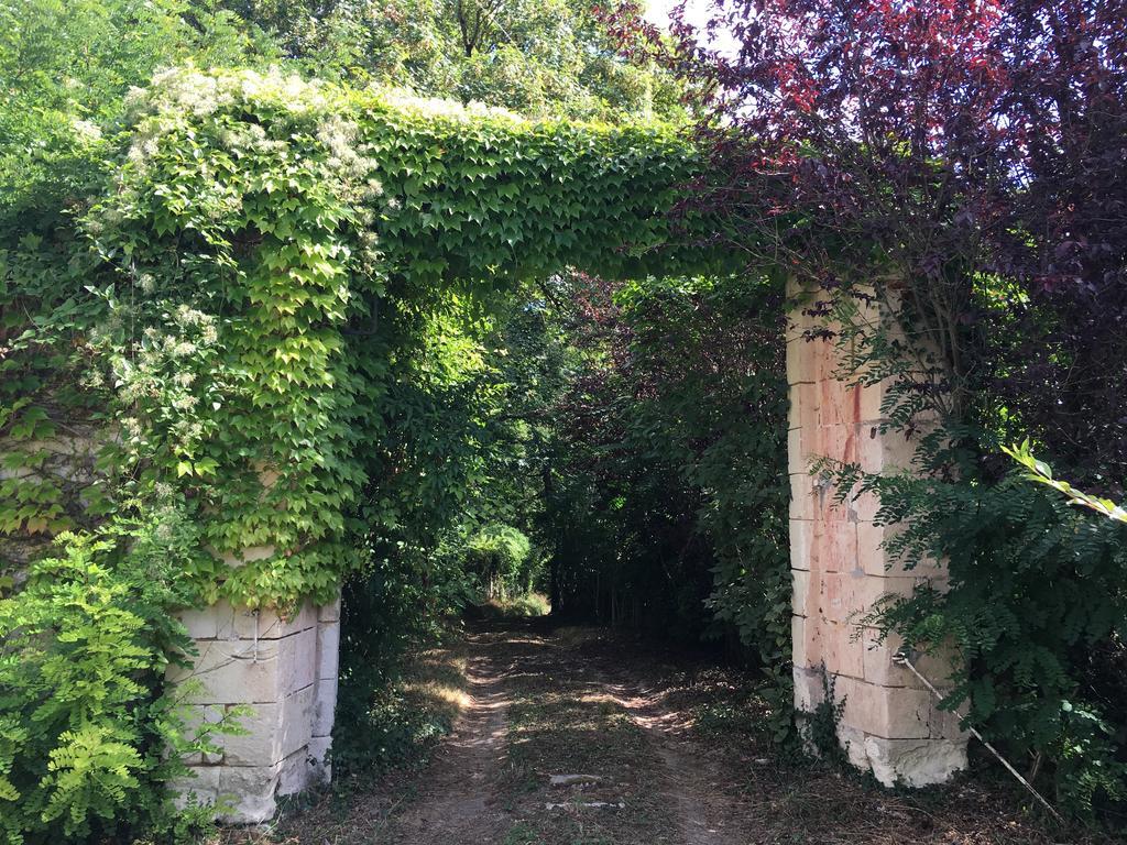 Les Terrasses De Chaumont 1 Leilighet Montsoreau Eksteriør bilde