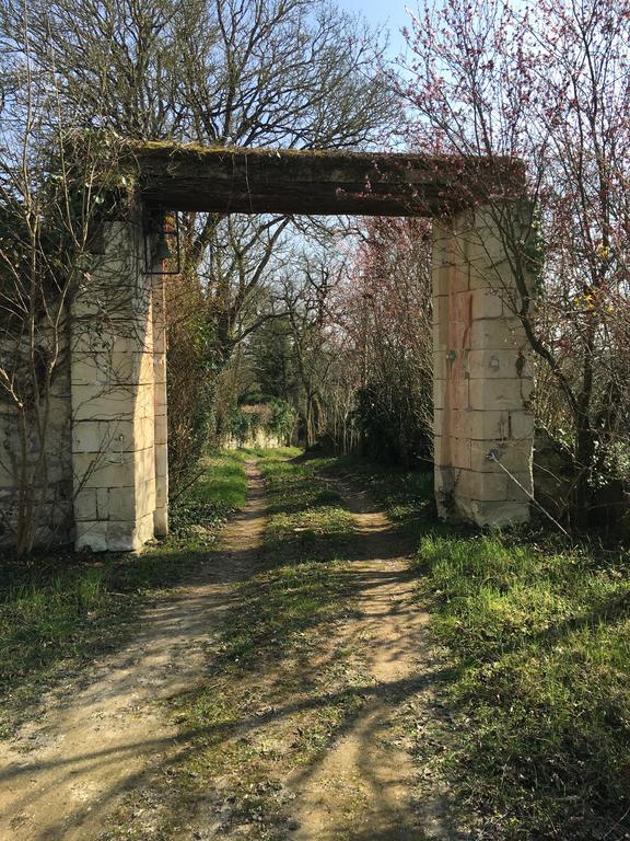 Les Terrasses De Chaumont 1 Leilighet Montsoreau Eksteriør bilde
